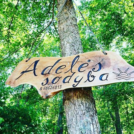 Namelis Nr 2 Adeles Sodyba Muize 외부 사진